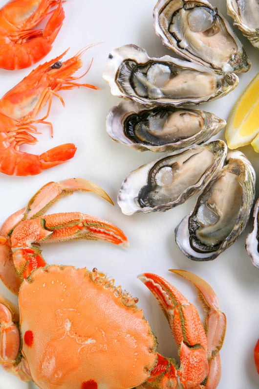 Plate of Seafood Wall Mural
