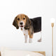 I can talk Wall Decal