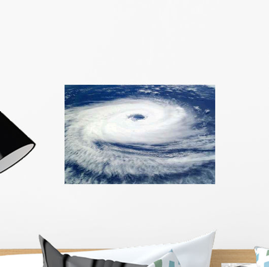 Cyclone Catarina Wall Decal