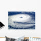 Cyclone Catarina Wall Decal