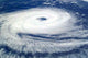 Cyclone Catarina Wall Decal