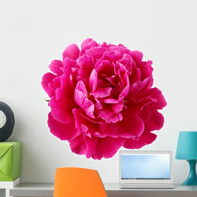 Pink Peony Flower Wall Decal shown on a wall