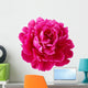 Pink Peony Flower Wall Decal