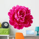 Pink Peony Flower Wall Decal