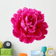 Pink Peony Flower Wall Decal