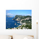 Capri Island Wall Mural