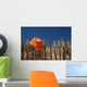 Hat Orange Gate Wall Decal