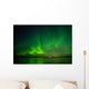 Arctic Siyante above Lake Wall Decal