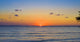 Tropical Sunrise Wall Mural