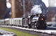 Steam Train Wall Mural