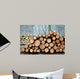 Wood in the Forest Wall Mural