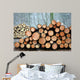 Wood in the Forest Wall Mural