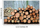 Wood in the Forest Wall Mural