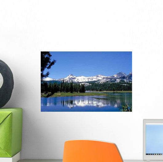 Tuolumne Meadows Wall Decal
