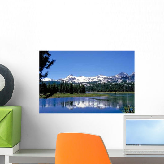 Tuolumne Meadows Wall Decal
