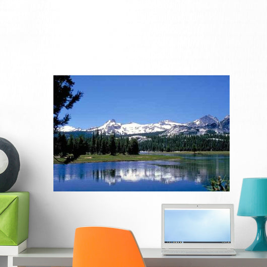 Tuolumne Meadows Wall Decal