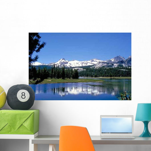 Tuolumne Meadows Wall Decal