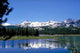 Tuolumne Meadows Wall Decal