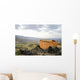 Biblical Noah's Ark Wall Mural