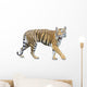 tiger isolated on white background with clipping path. Wall Decal