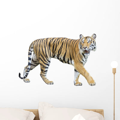 Prowling Bengal Tiger Wall Decal shown on a wall