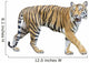 tiger isolated on white background with clipping path. Wall Decal