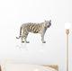 White tiger isolated on white background Wall Decal