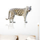 White tiger isolated on white background Wall Decal
