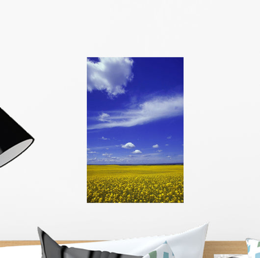 Field Canola Wall Decal Design 2