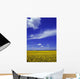 Field Canola Wall Decal Design 2