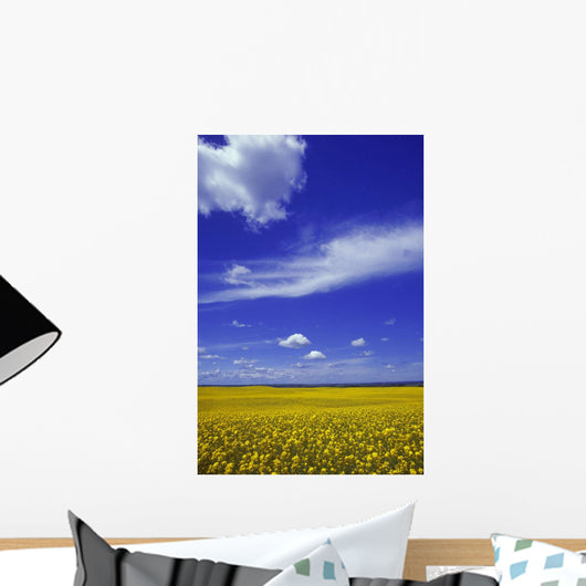 Field Canola Wall Decal Design 2