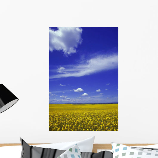 Field Canola Wall Decal Design 2