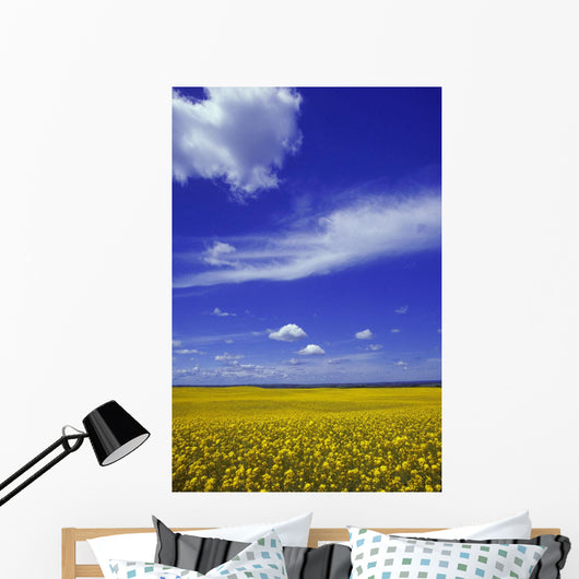 Field Canola Wall Decal Design 2