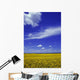 Field Canola Wall Decal Design 2