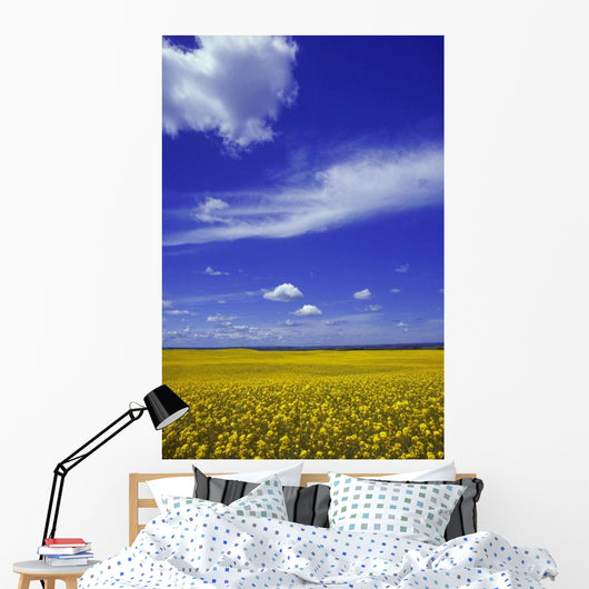 Field Canola Wall Decal Design 2
