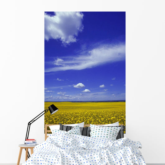 Field Canola Wall Decal Design 2
