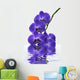 Orchid Wall Decal