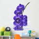 Orchid Wall Decal