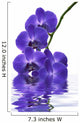 Orchid Wall Decal