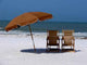 Dream Spot 1 Wall Decal