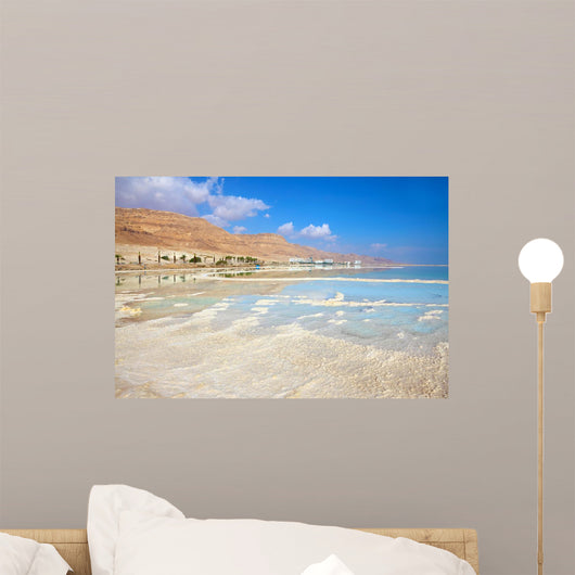 Coast Dead Sea Wall Decal