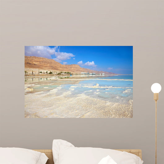 Coast Dead Sea Wall Decal