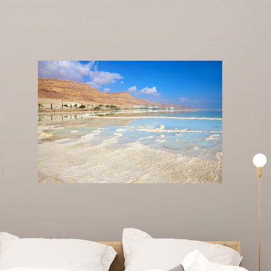 Coast Dead Sea Wall Decal