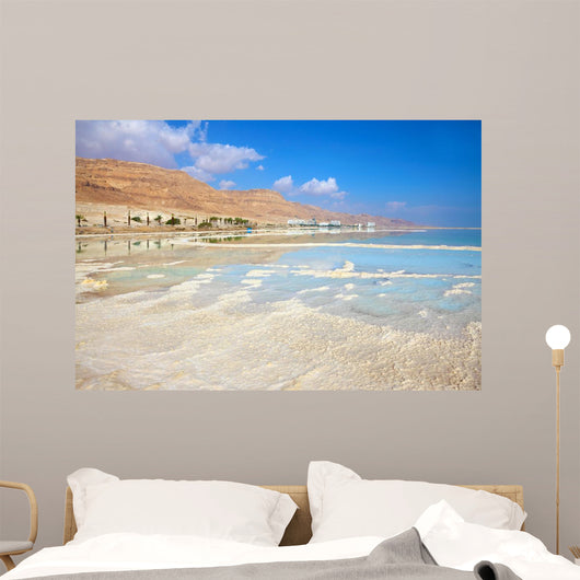 Coast Dead Sea Wall Decal