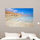 Coast Dead Sea Wall Decal