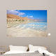 Coast Dead Sea Wall Decal