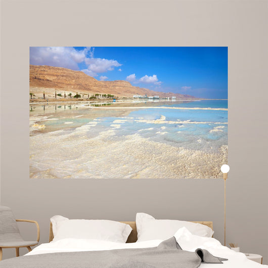 Coast Dead Sea Wall Decal