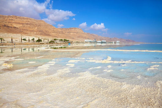 Coast Dead Sea Wall Decal