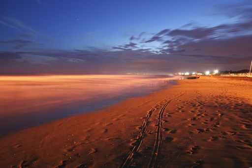 Bibione Beach Wall Decal