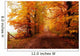 Autumn in the Forest Wall Mural
